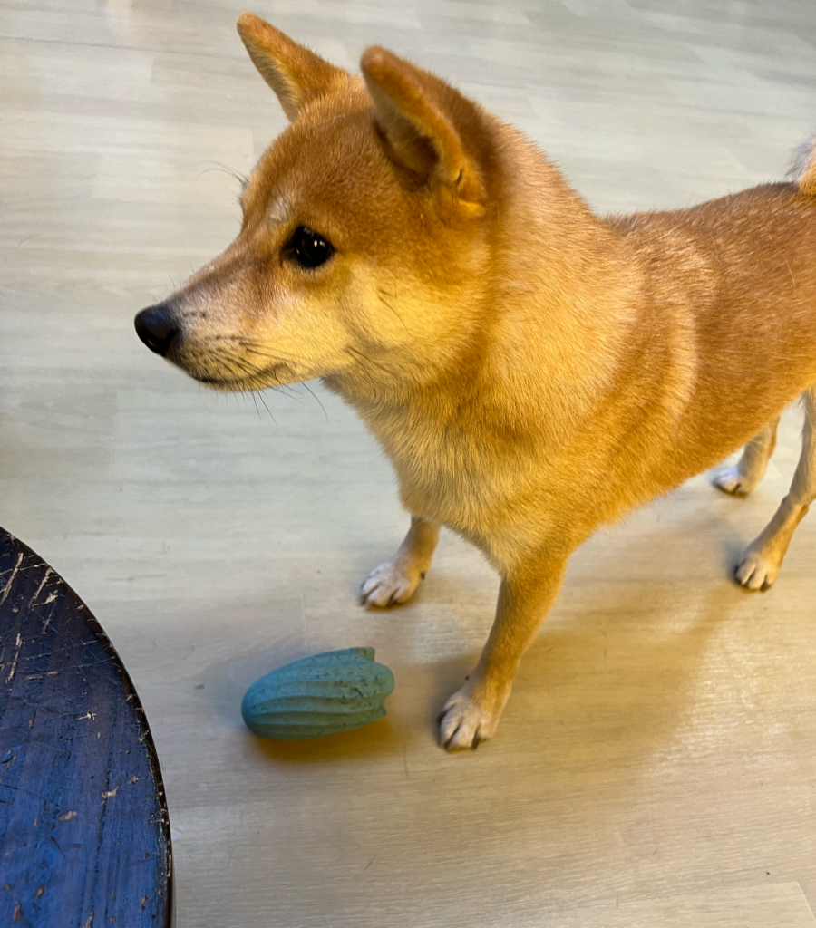 我的搭檔，但是注意Milo是我不是他